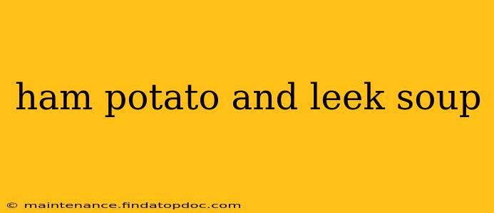 ham potato and leek soup