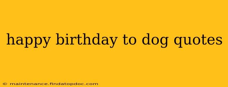 happy birthday to dog quotes