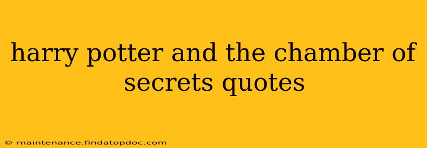 harry potter and the chamber of secrets quotes