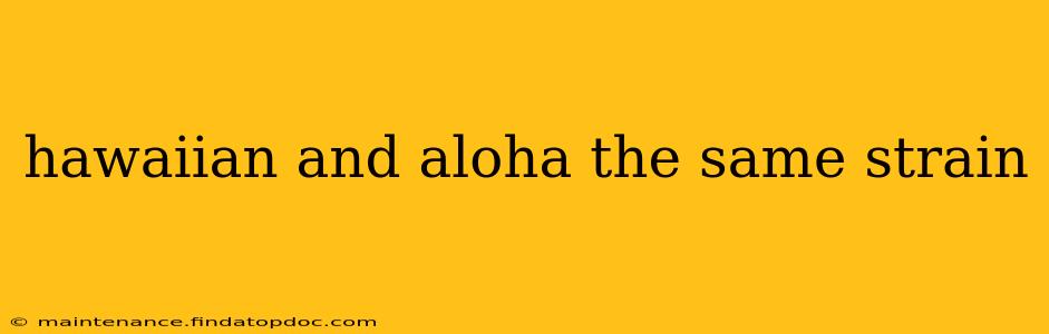 hawaiian and aloha the same strain