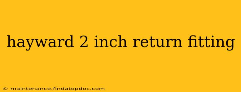 hayward 2 inch return fitting