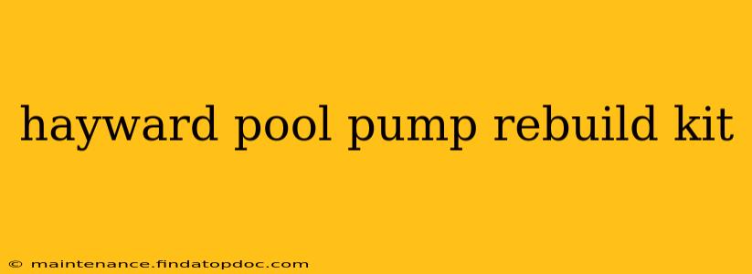 hayward pool pump rebuild kit