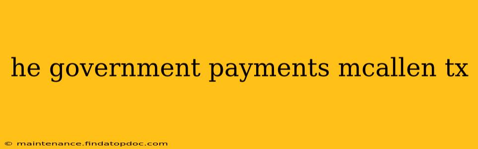 he government payments mcallen tx