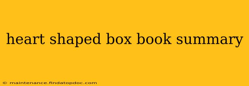 heart shaped box book summary