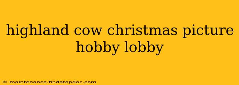 highland cow christmas picture hobby lobby