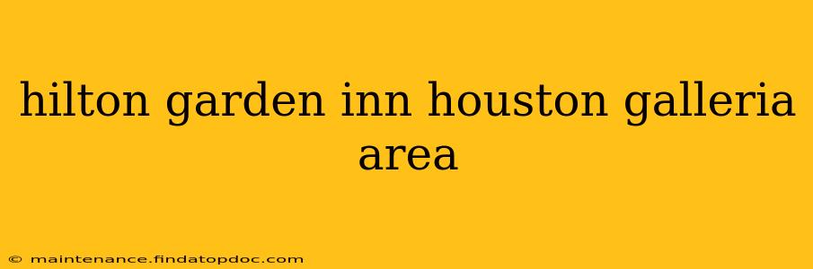 hilton garden inn houston galleria area