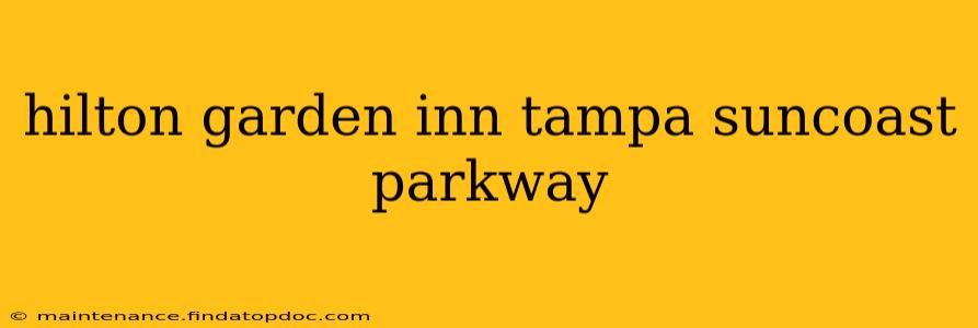 hilton garden inn tampa suncoast parkway