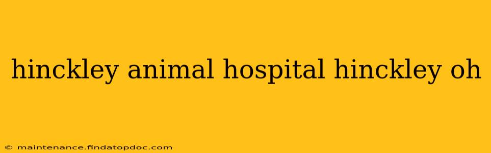 hinckley animal hospital hinckley oh