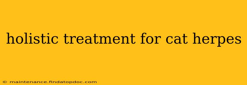 holistic treatment for cat herpes