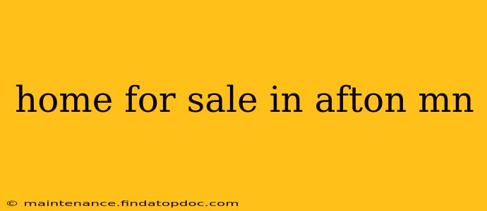home for sale in afton mn