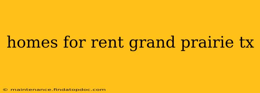 homes for rent grand prairie tx