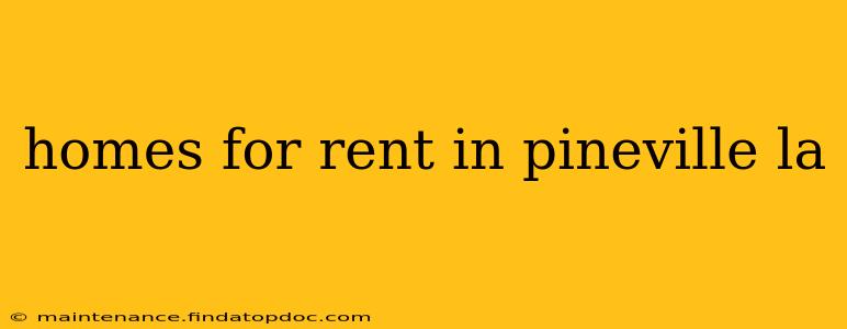 homes for rent in pineville la