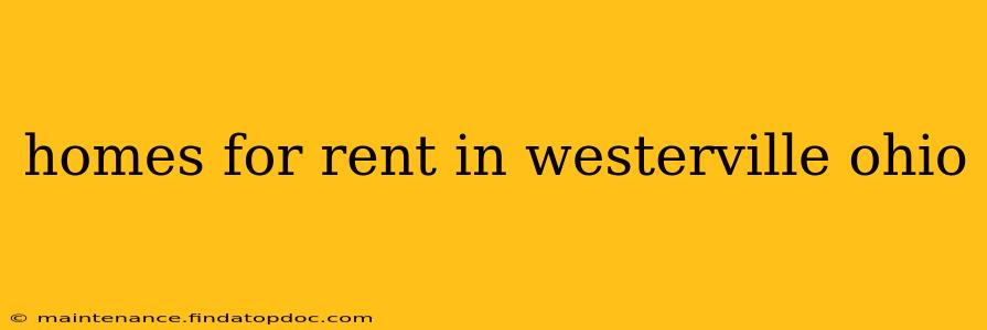 homes for rent in westerville ohio