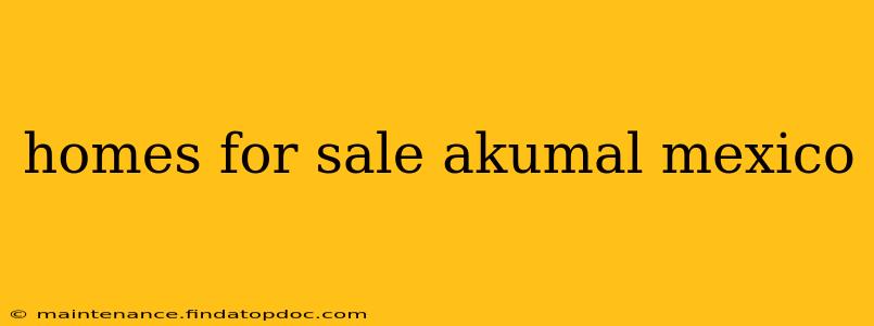homes for sale akumal mexico