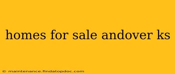 homes for sale andover ks
