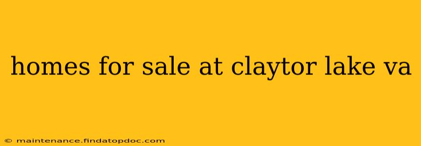 homes for sale at claytor lake va