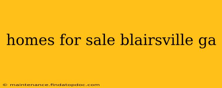 homes for sale blairsville ga