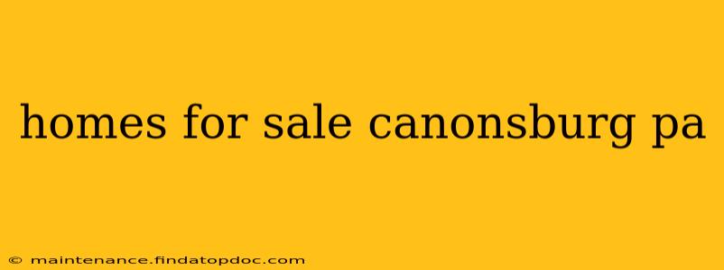 homes for sale canonsburg pa