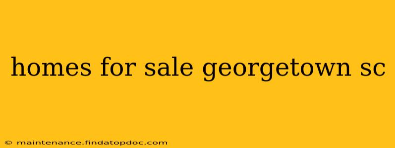 homes for sale georgetown sc