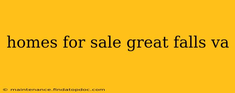 homes for sale great falls va