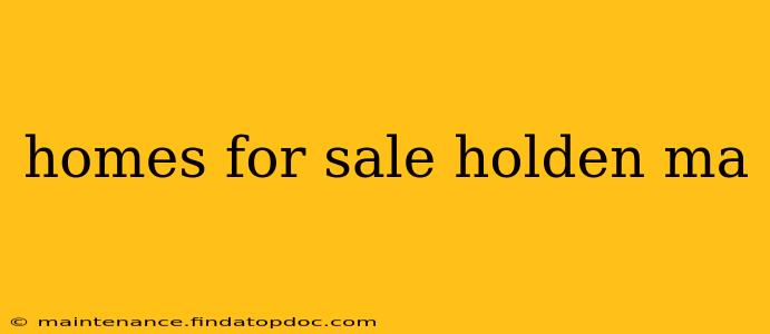 homes for sale holden ma