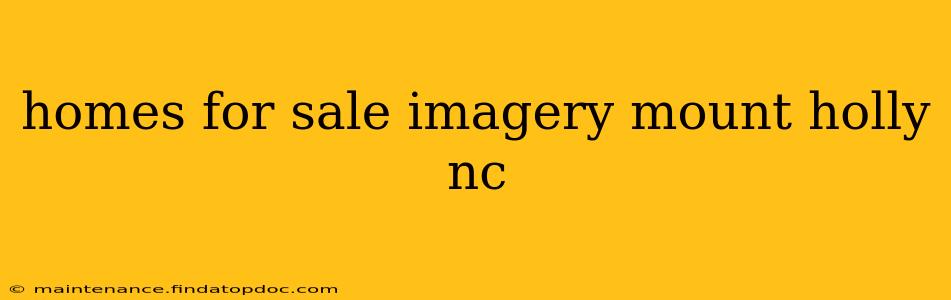 homes for sale imagery mount holly nc