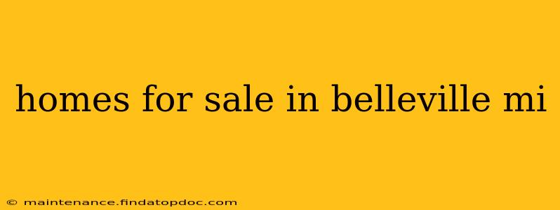 homes for sale in belleville mi