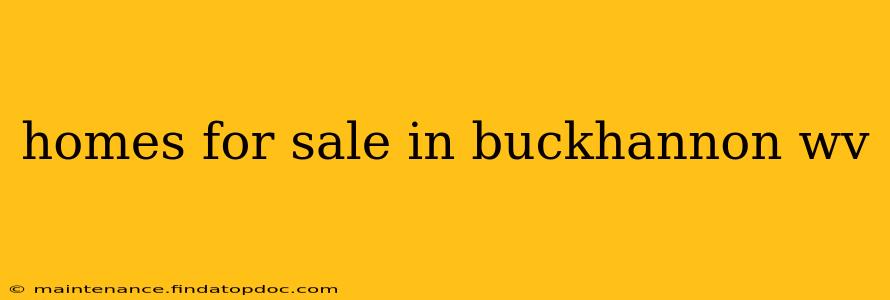 homes for sale in buckhannon wv