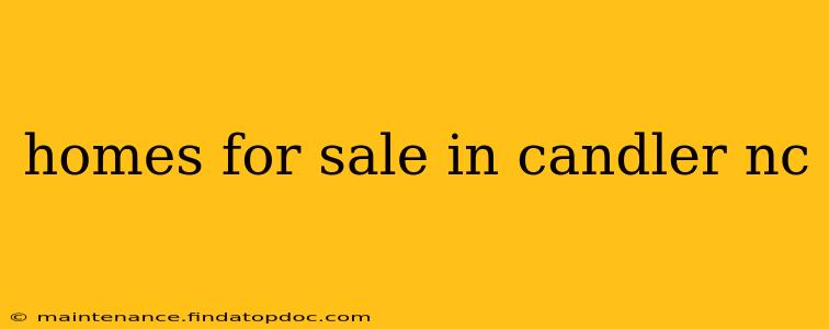 homes for sale in candler nc