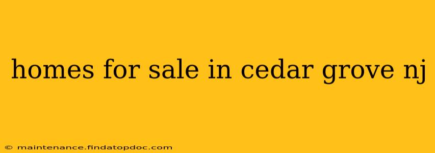 homes for sale in cedar grove nj
