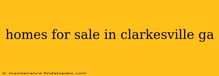 homes for sale in clarkesville ga