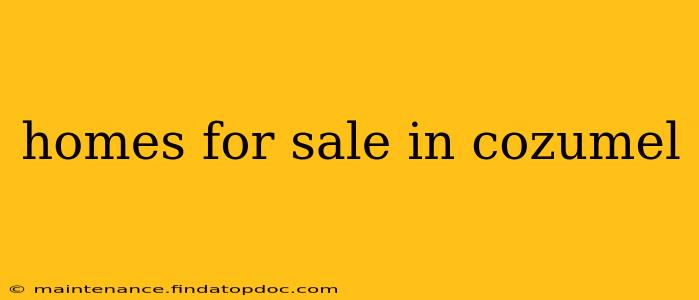 homes for sale in cozumel