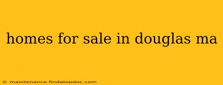 homes for sale in douglas ma