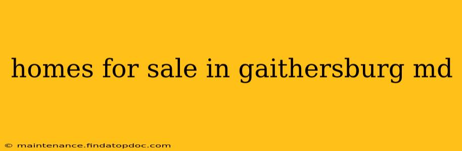 homes for sale in gaithersburg md