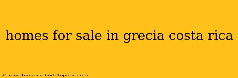homes for sale in grecia costa rica