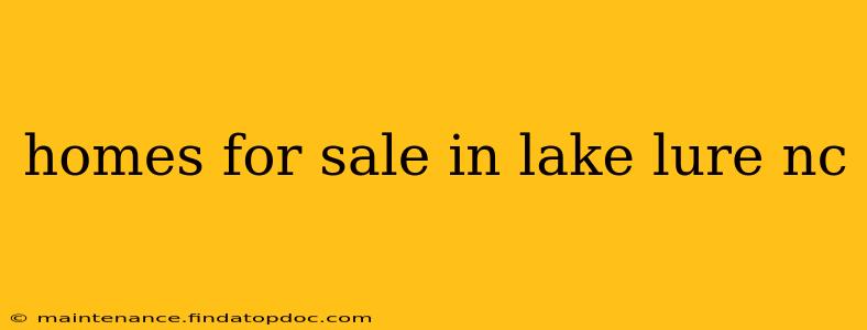 homes for sale in lake lure nc