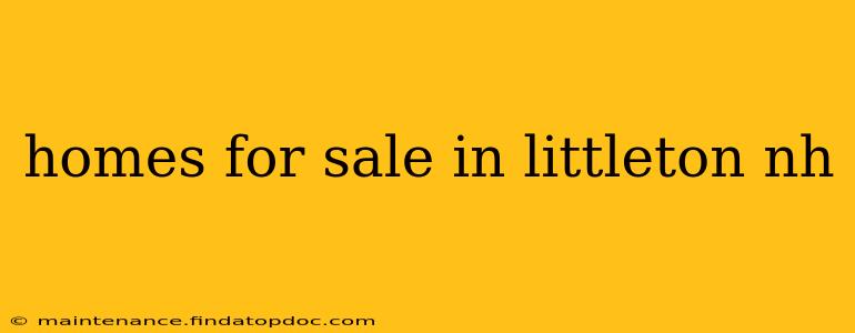 homes for sale in littleton nh