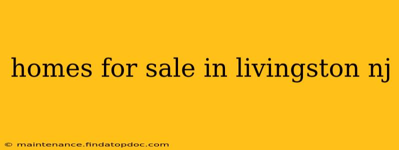 homes for sale in livingston nj
