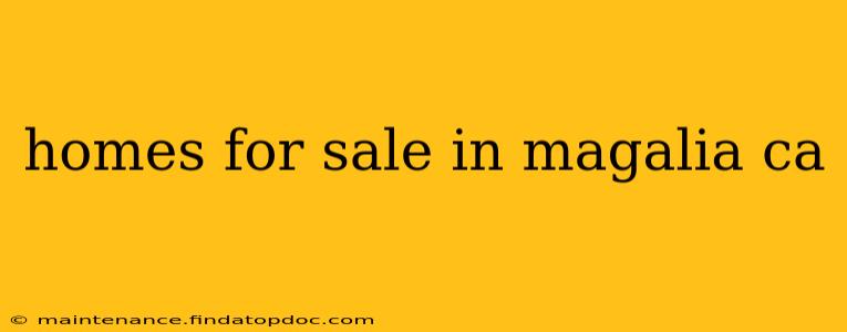 homes for sale in magalia ca