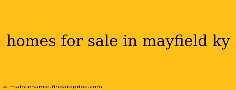 homes for sale in mayfield ky