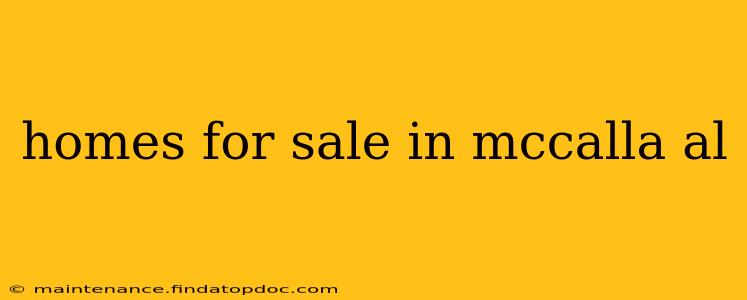 homes for sale in mccalla al
