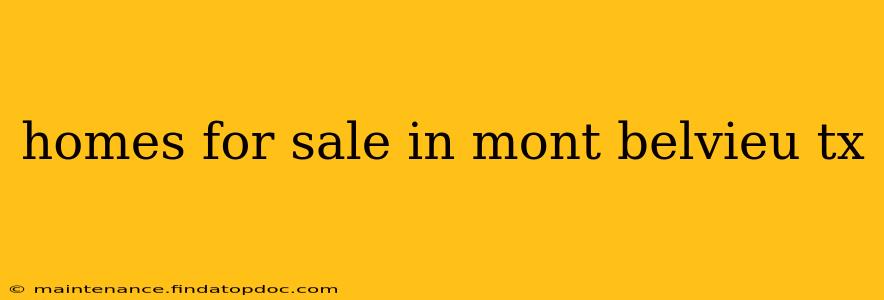 homes for sale in mont belvieu tx