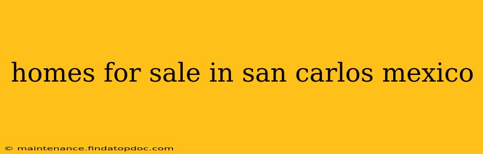 homes for sale in san carlos mexico