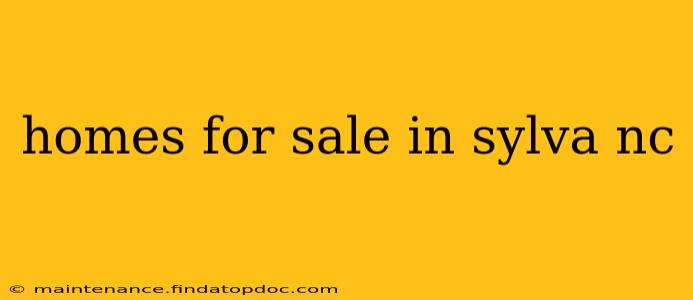 homes for sale in sylva nc