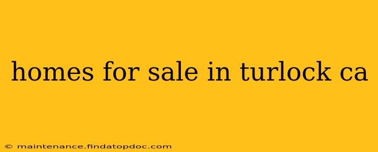 homes for sale in turlock ca