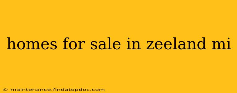 homes for sale in zeeland mi