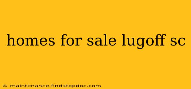 homes for sale lugoff sc
