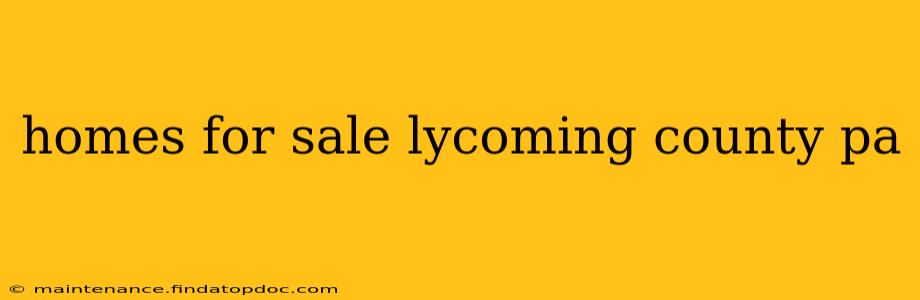 homes for sale lycoming county pa