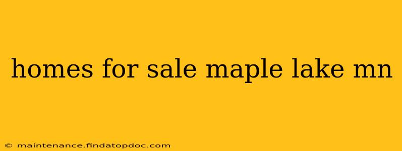 homes for sale maple lake mn