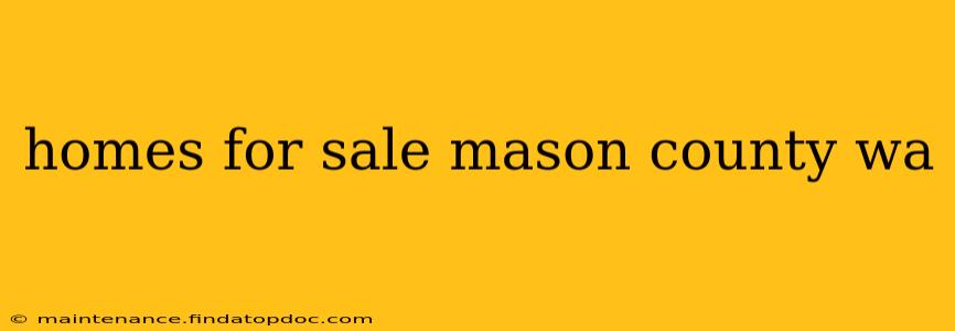 homes for sale mason county wa